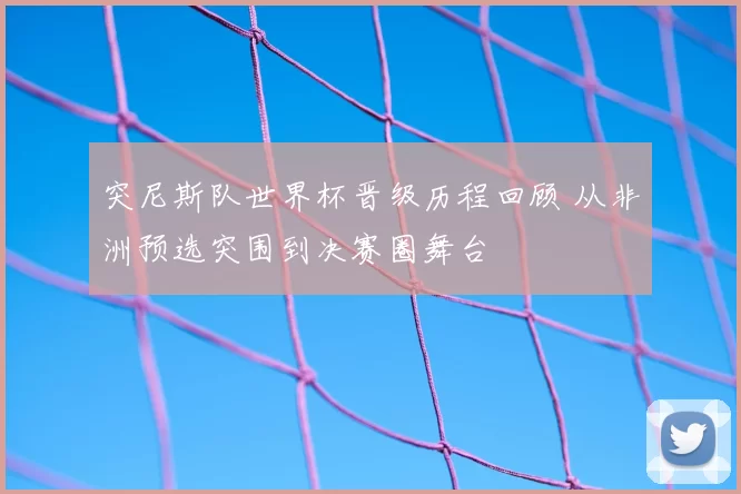 突尼斯队世界杯晋级历程回顾 从非洲预选突围到决赛圈舞台
